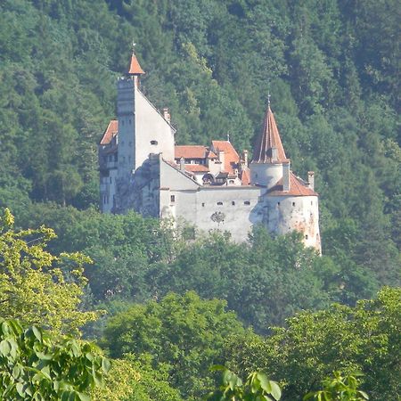 Transylvanian Inn Törcsvár Kültér fotó