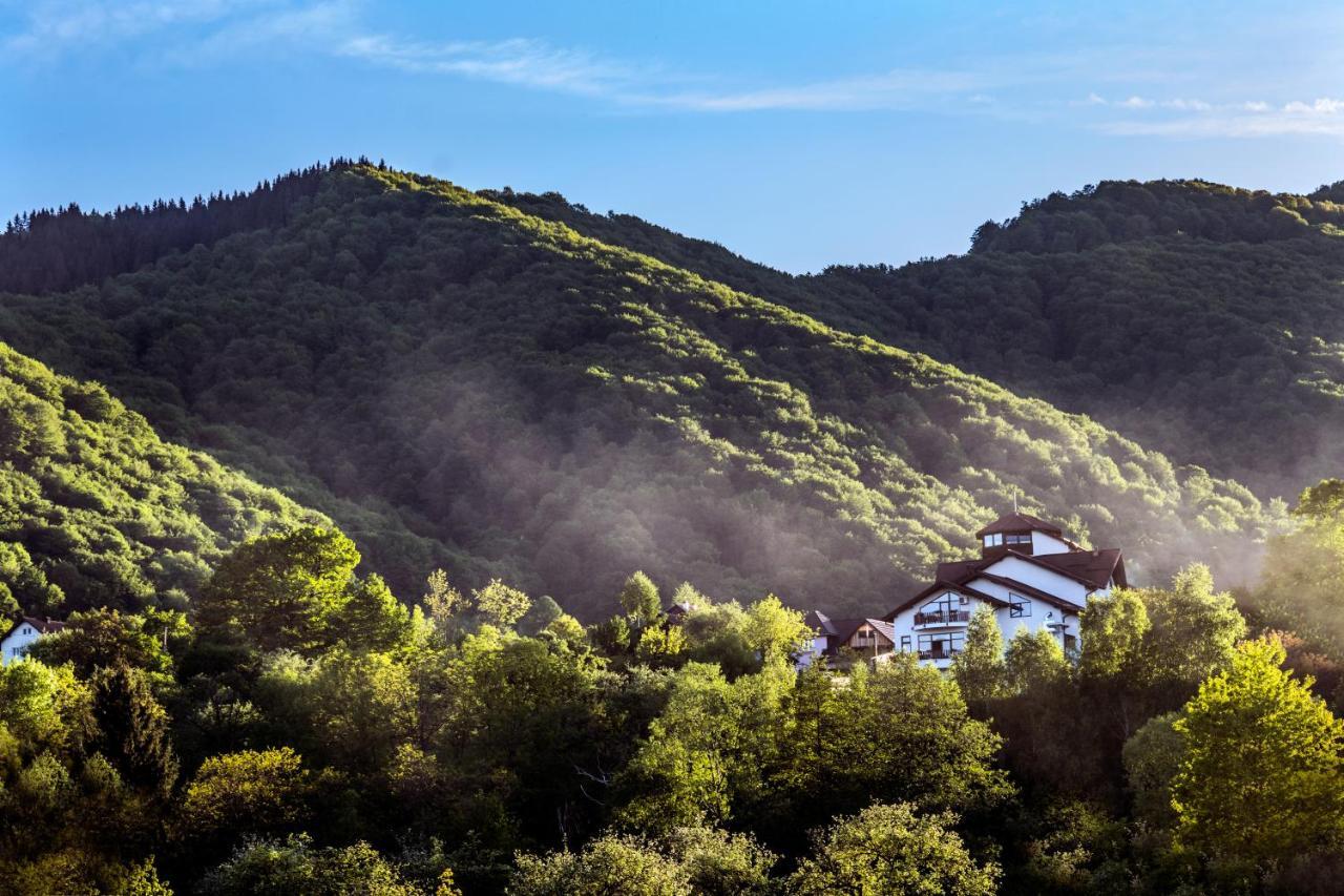 Transylvanian Inn Törcsvár Kültér fotó