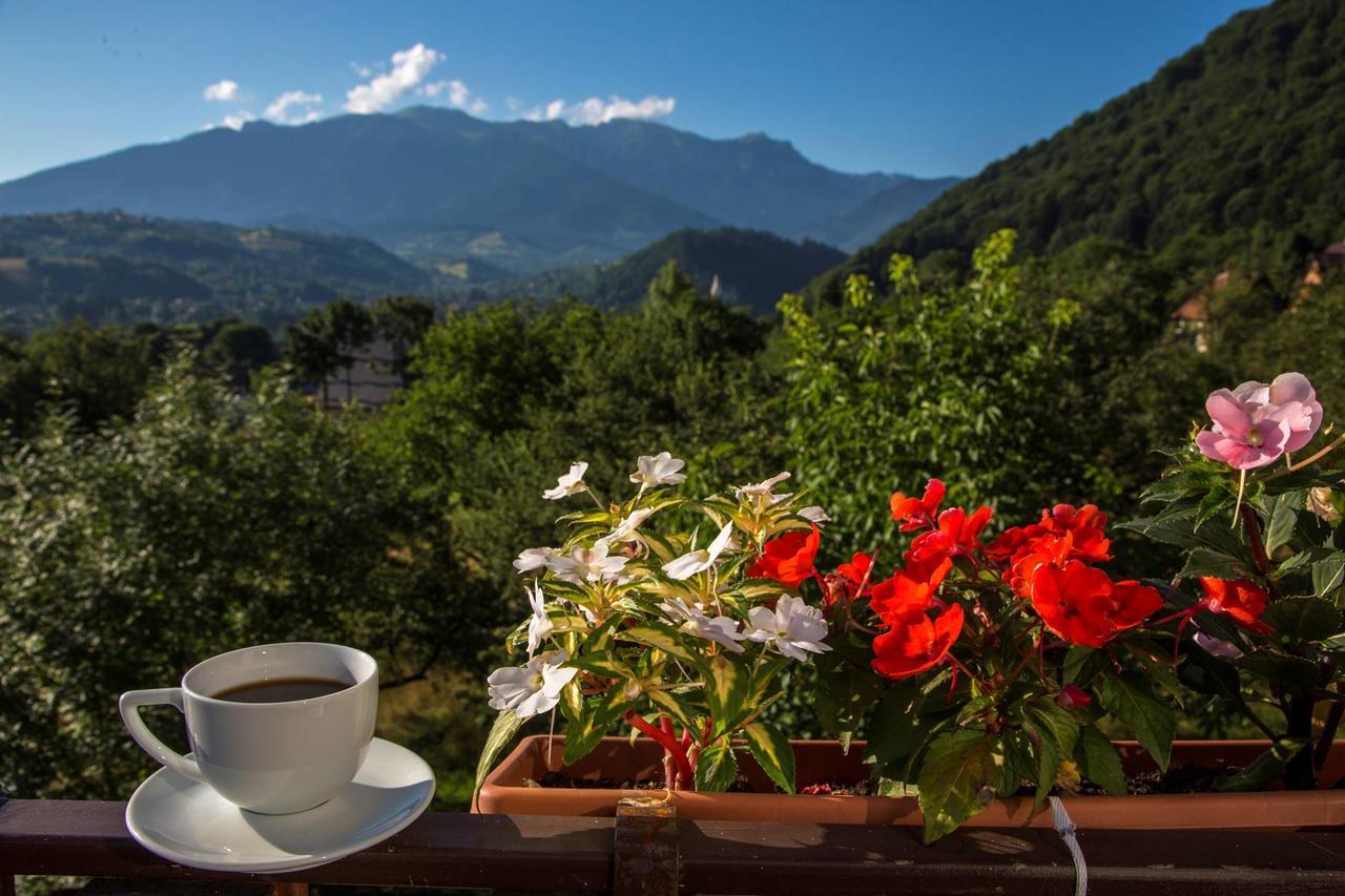 Transylvanian Inn Törcsvár Kültér fotó