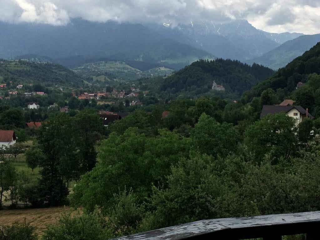 Transylvanian Inn Törcsvár Kültér fotó
